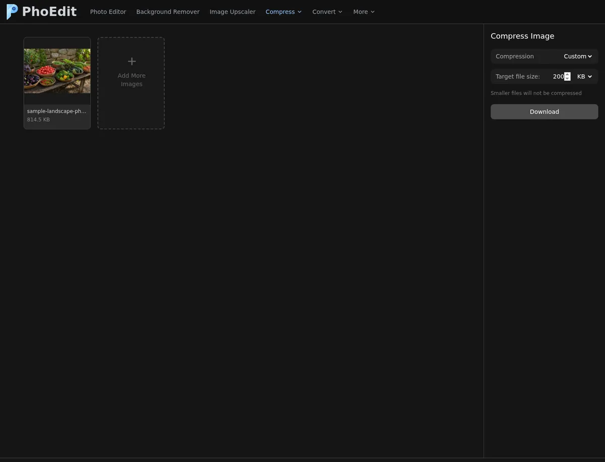 PhoEdit custom target-size setting with the original test photo loaded