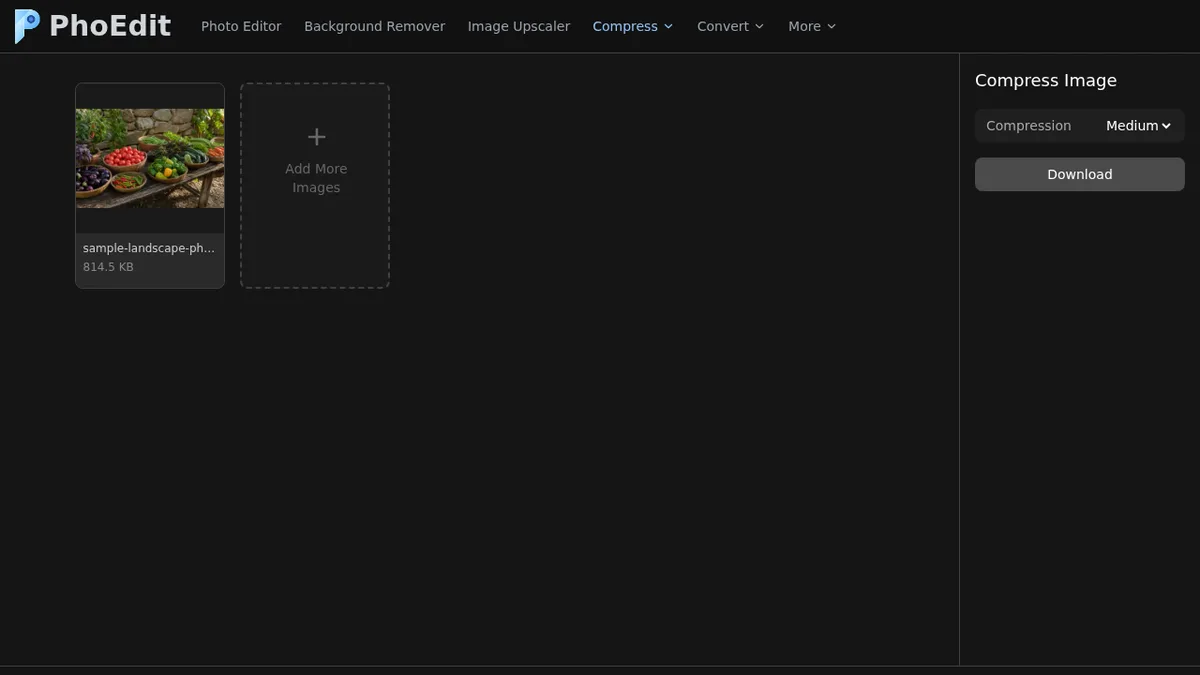 The file is available to the browser tool after local selection
